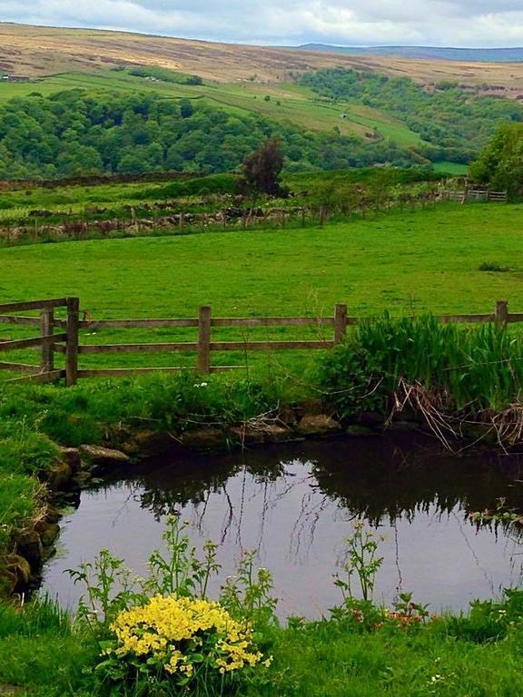Far Moorside Farm B&B Hebden Bridge Εξωτερικό φωτογραφία
